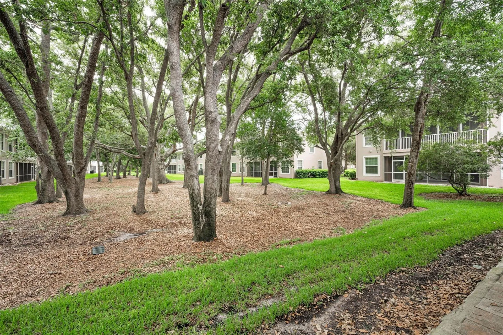 889 Lantern Way Clearwater FL 33765