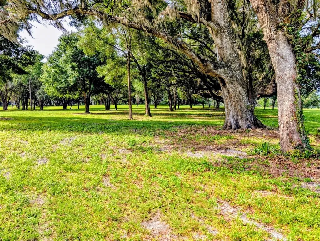 10660 E Bushnell Road Floral City FL 34436