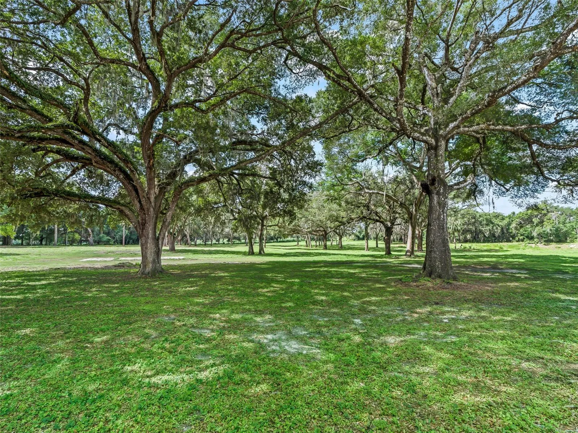 10660 E Bushnell Road Floral City FL 34436