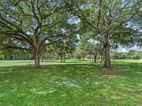 10660 E Bushnell Road Floral City FL 34436