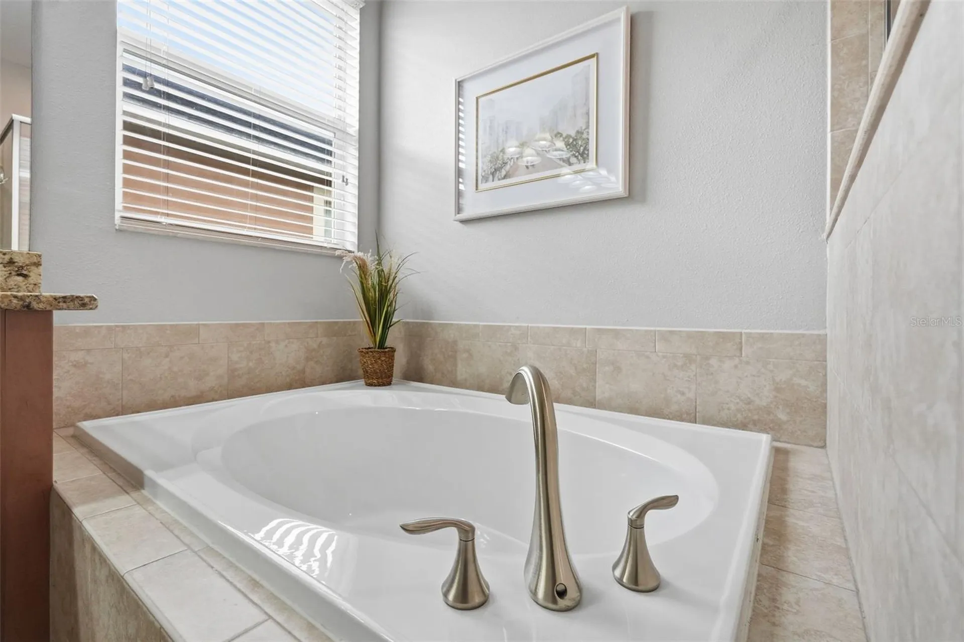 11804 Valhalla Woods Drive Riverview FL 33579