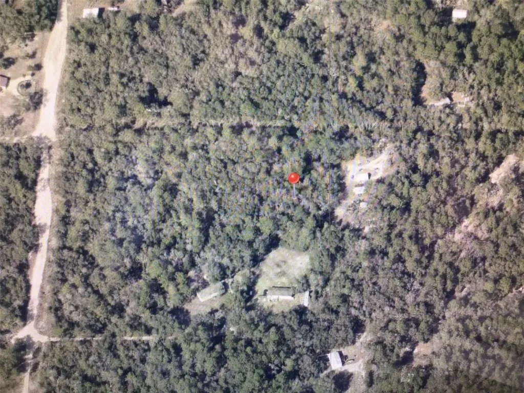 0 SW 156 Place Dunnellon FL 34432