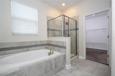 3043 Beaver Creek Drive Kissimmee FL 34746