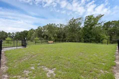 3239 Gardenia Reserve Street Apopka FL 32712