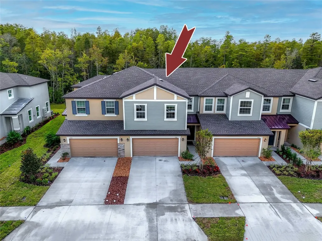 17718 Nectar Flume Drive Land O Lakes FL 34638
