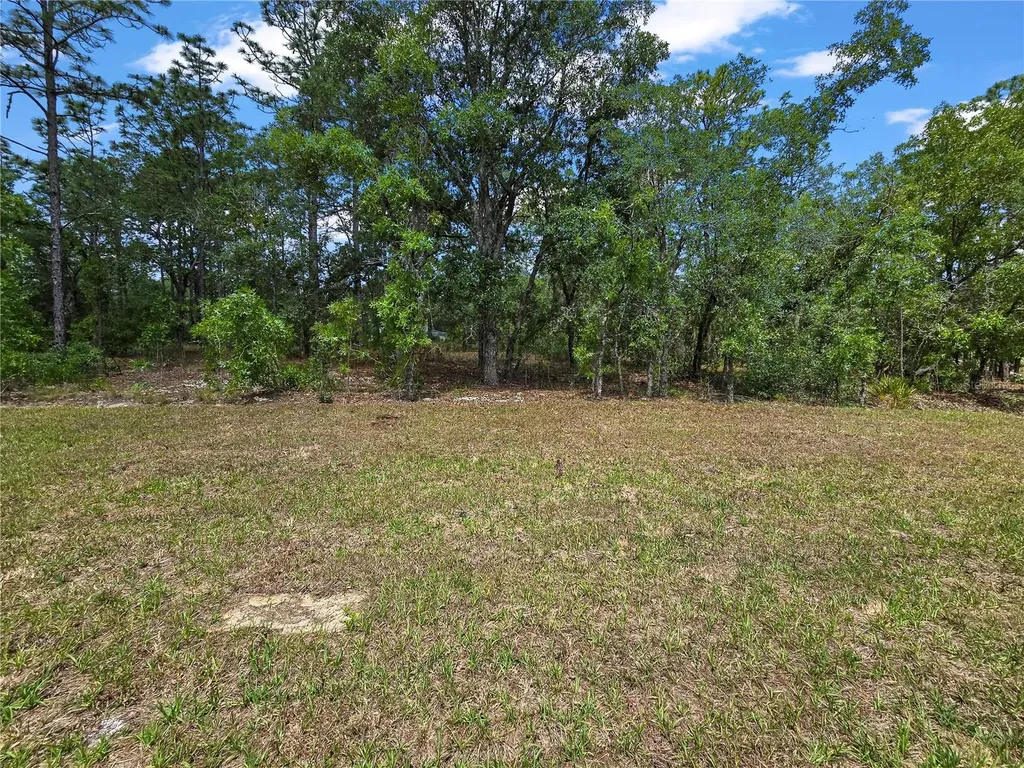 Citrus Springs FL 34433