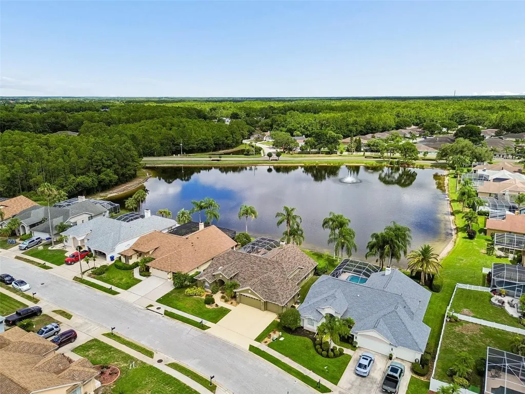 1226 Hoversham Drive New Port Richey FL 34655