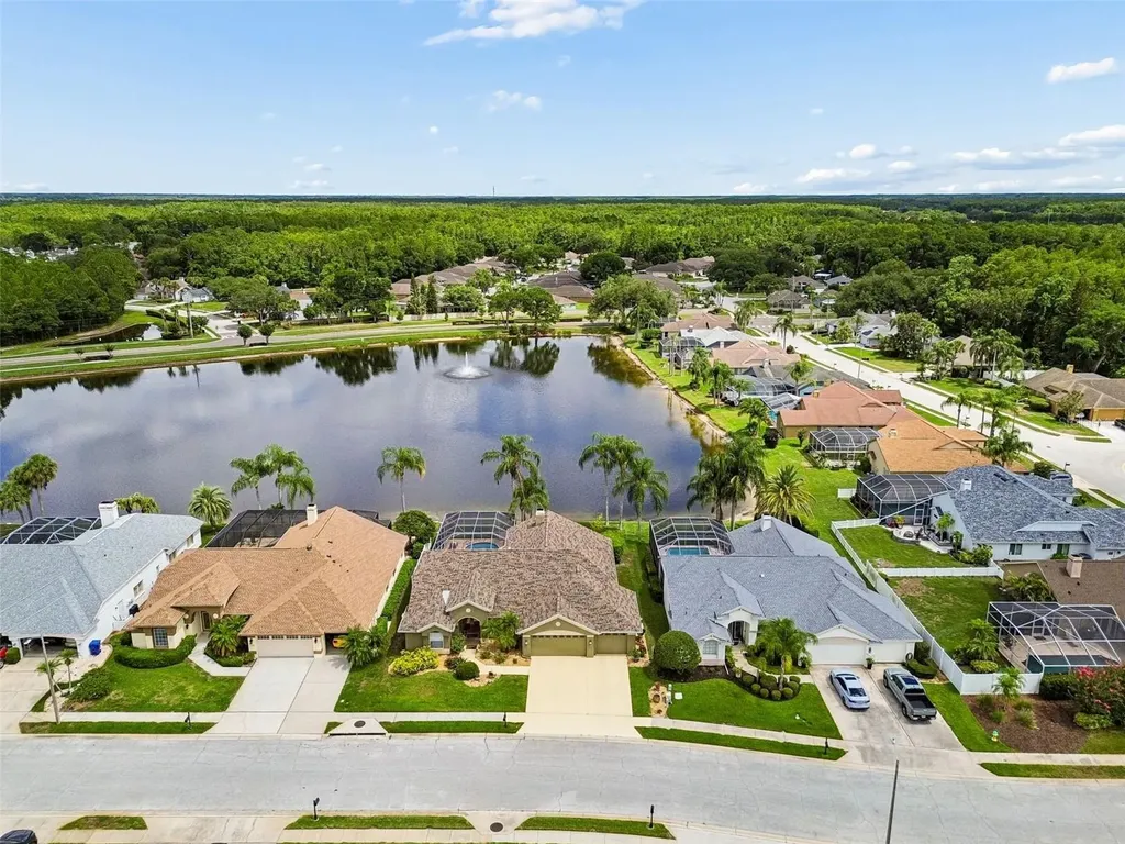 1226 Hoversham Drive New Port Richey FL 34655