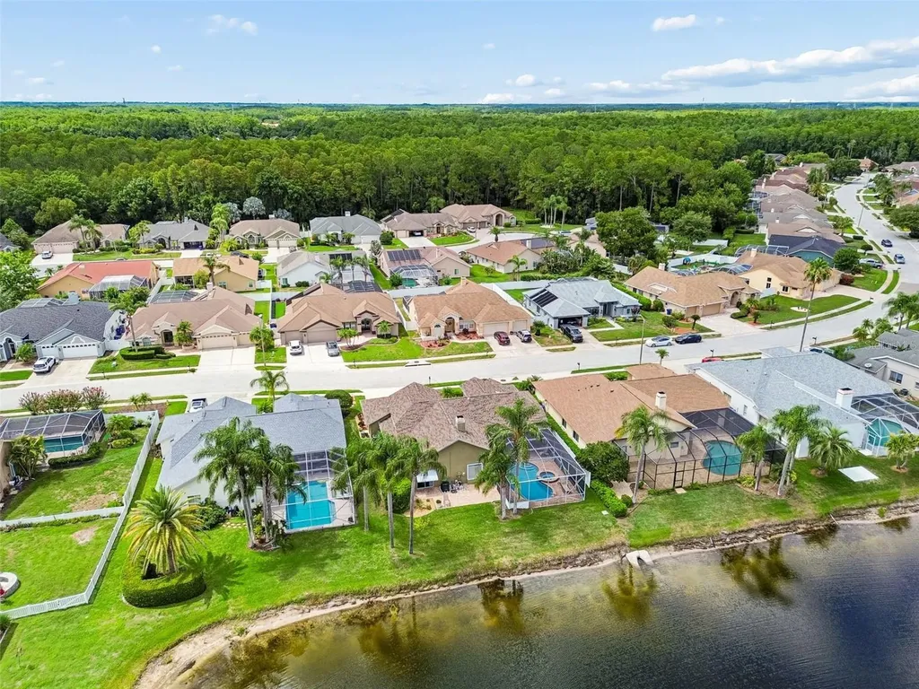 1226 Hoversham Drive New Port Richey FL 34655