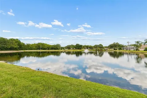 1226 Hoversham Drive New Port Richey FL 34655