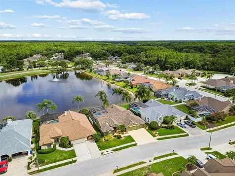 1226 Hoversham Drive New Port Richey FL 34655