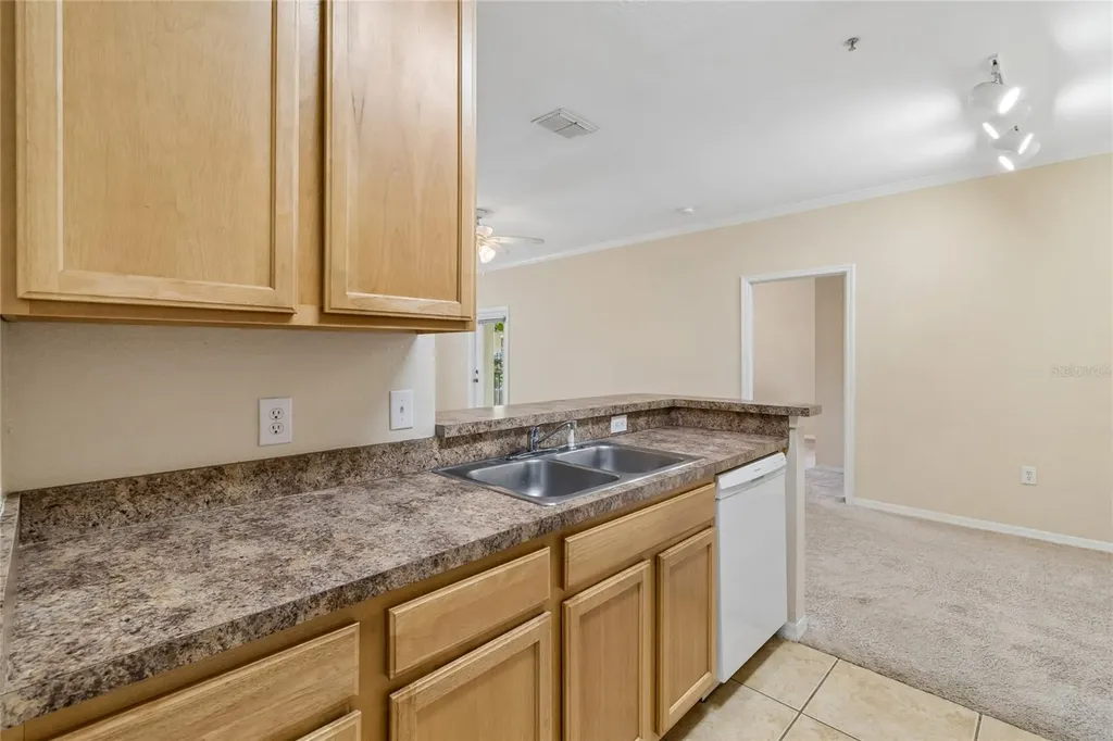 10203 Courtney Palms Boulevard Tampa FL 33619