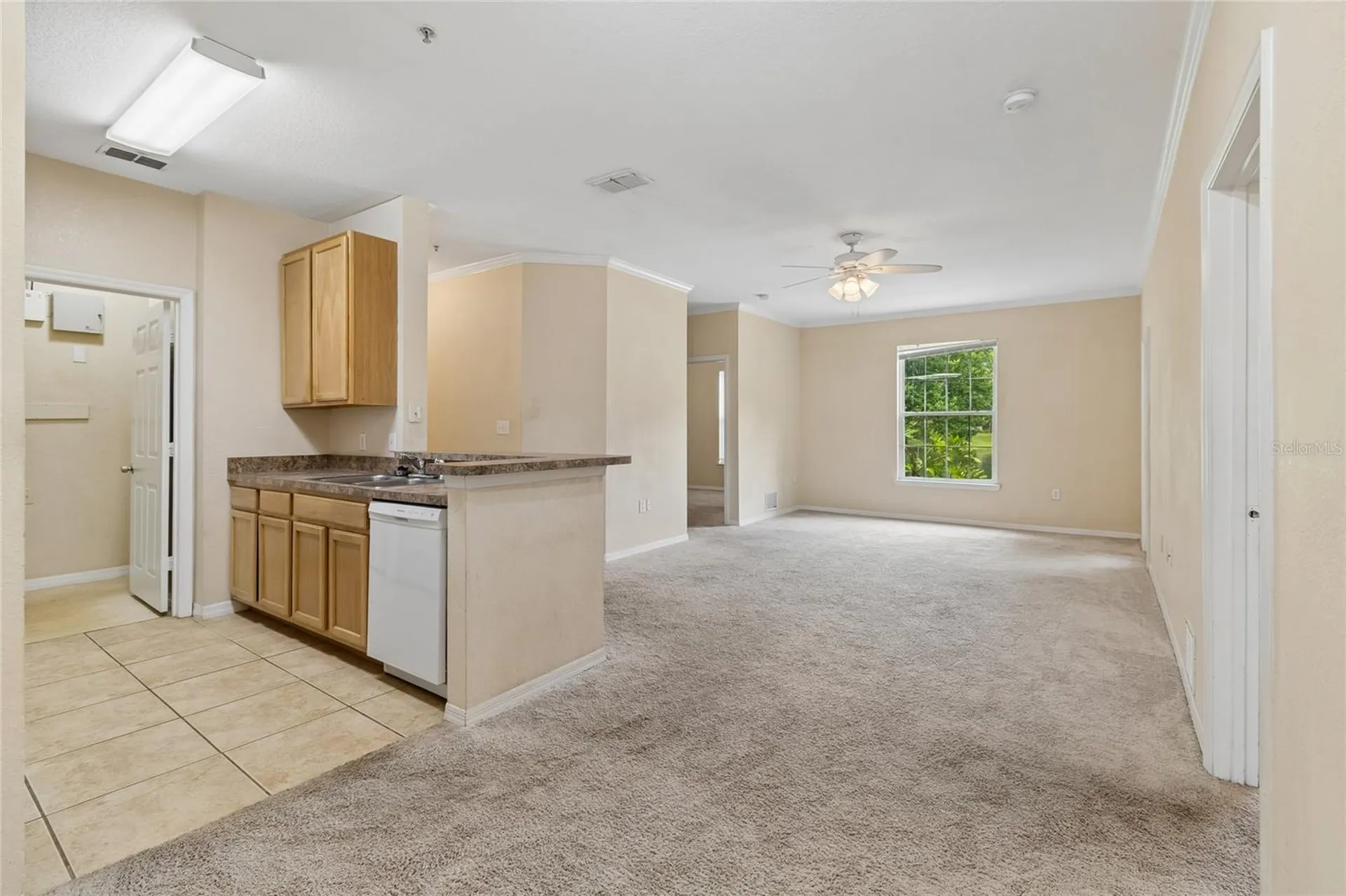 10203 Courtney Palms Boulevard Tampa FL 33619