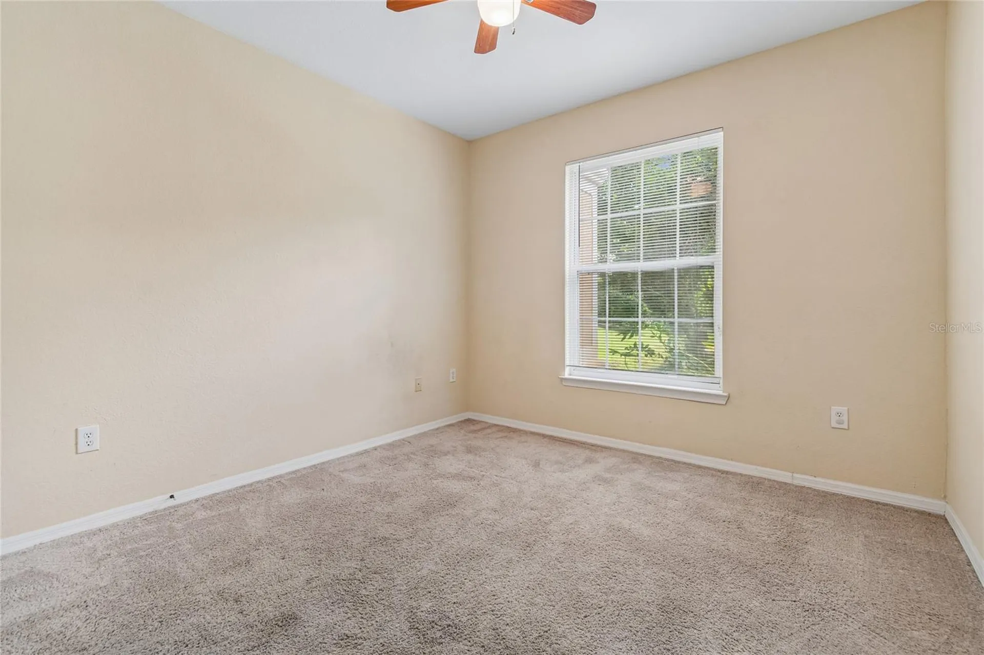 10203 Courtney Palms Boulevard Tampa FL 33619