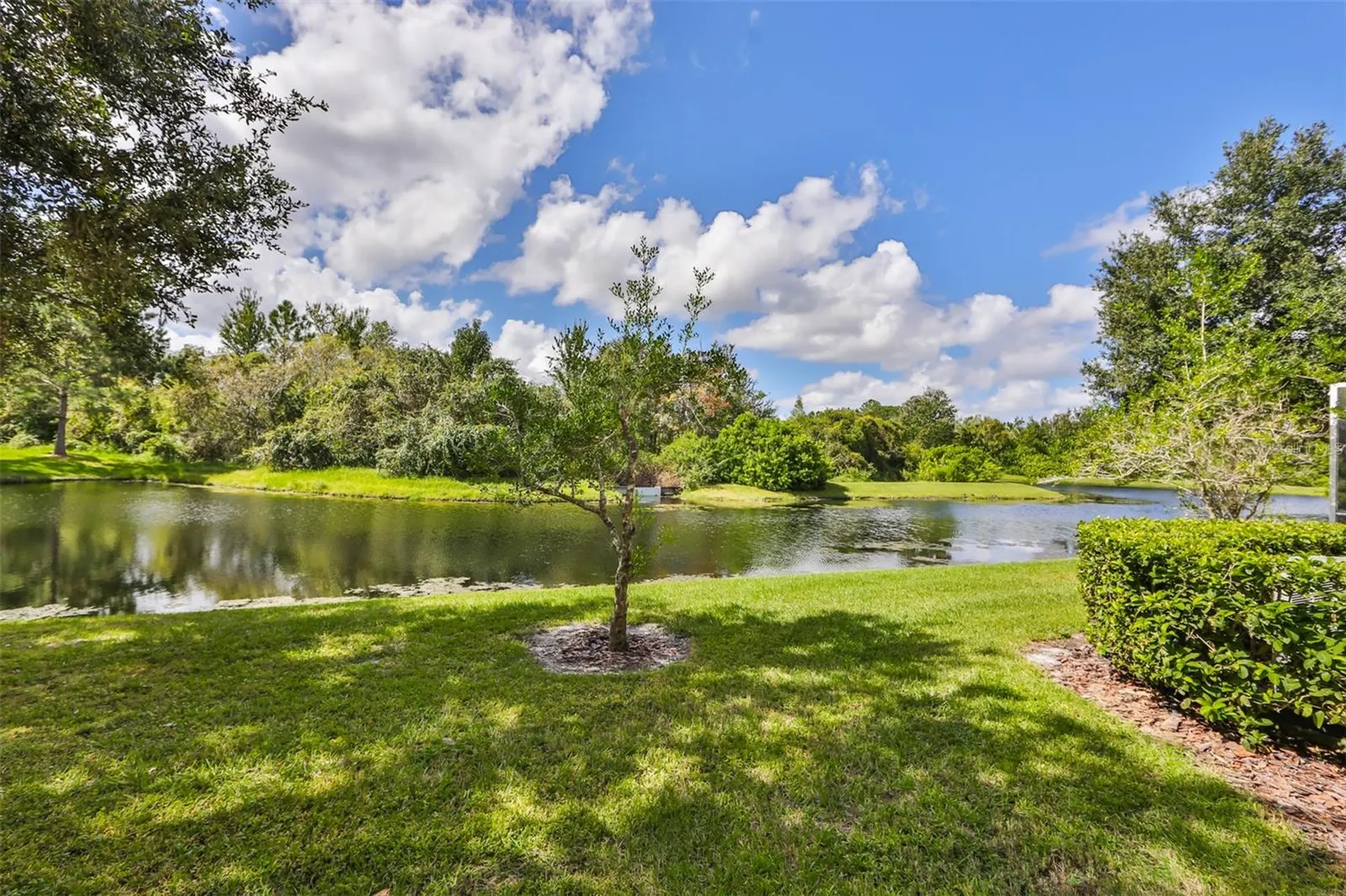 26948 Juniper Bay Drive Wesley Chapel FL 33544
