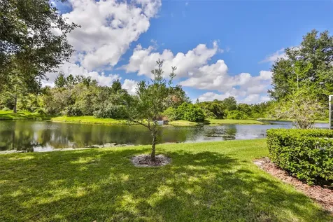 26948 Juniper Bay Drive Wesley Chapel FL 33544
