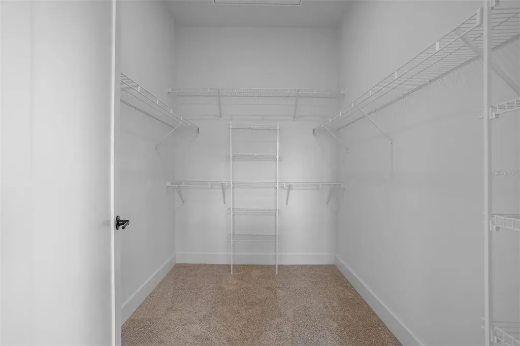 3812 Fern Hollow Place Tampa FL 33614