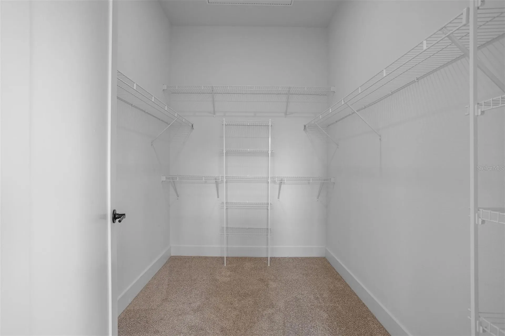 3812 Fern Hollow Place Tampa FL 33614