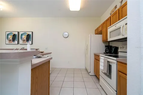 3022 White Orchid Road Kissimmee FL 34747