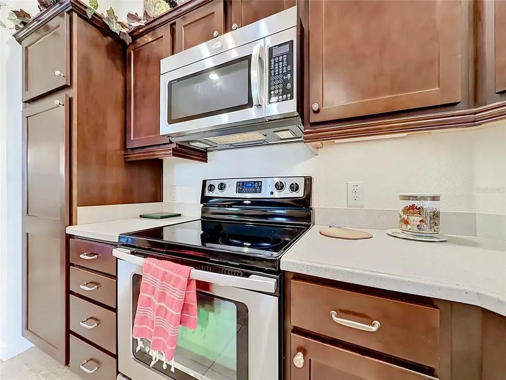 2529 Edenville Path The Villages FL 32162