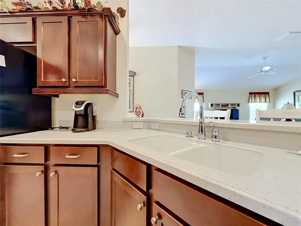 2529 Edenville Path The Villages FL 32162