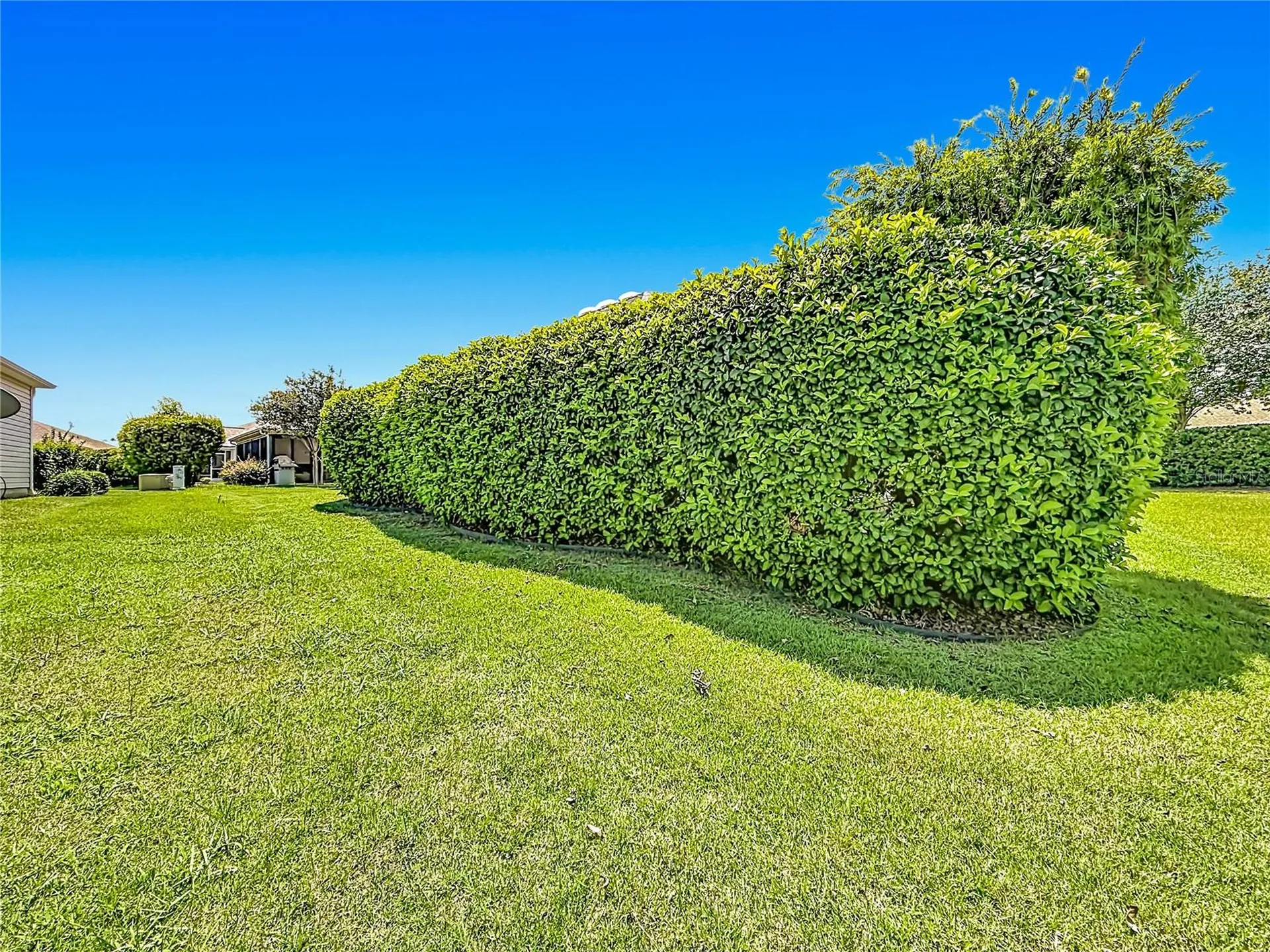 2529 Edenville Path The Villages FL 32162