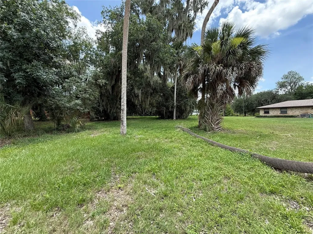 0 Lake Pierce Drive Lake Wales FL 33898