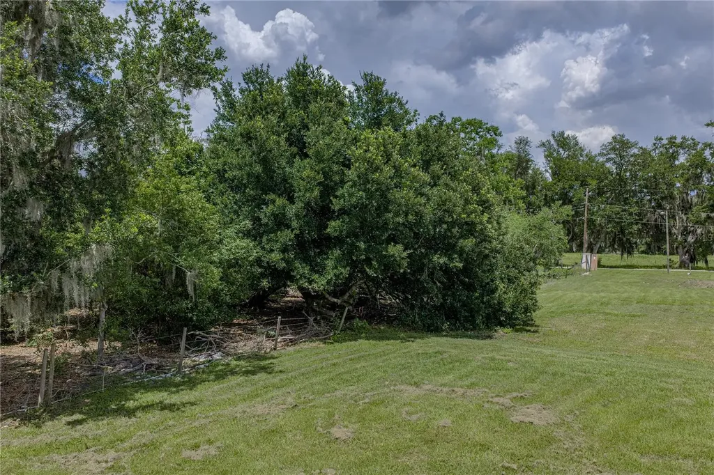 14080 Sydney Road Dover FL 33527