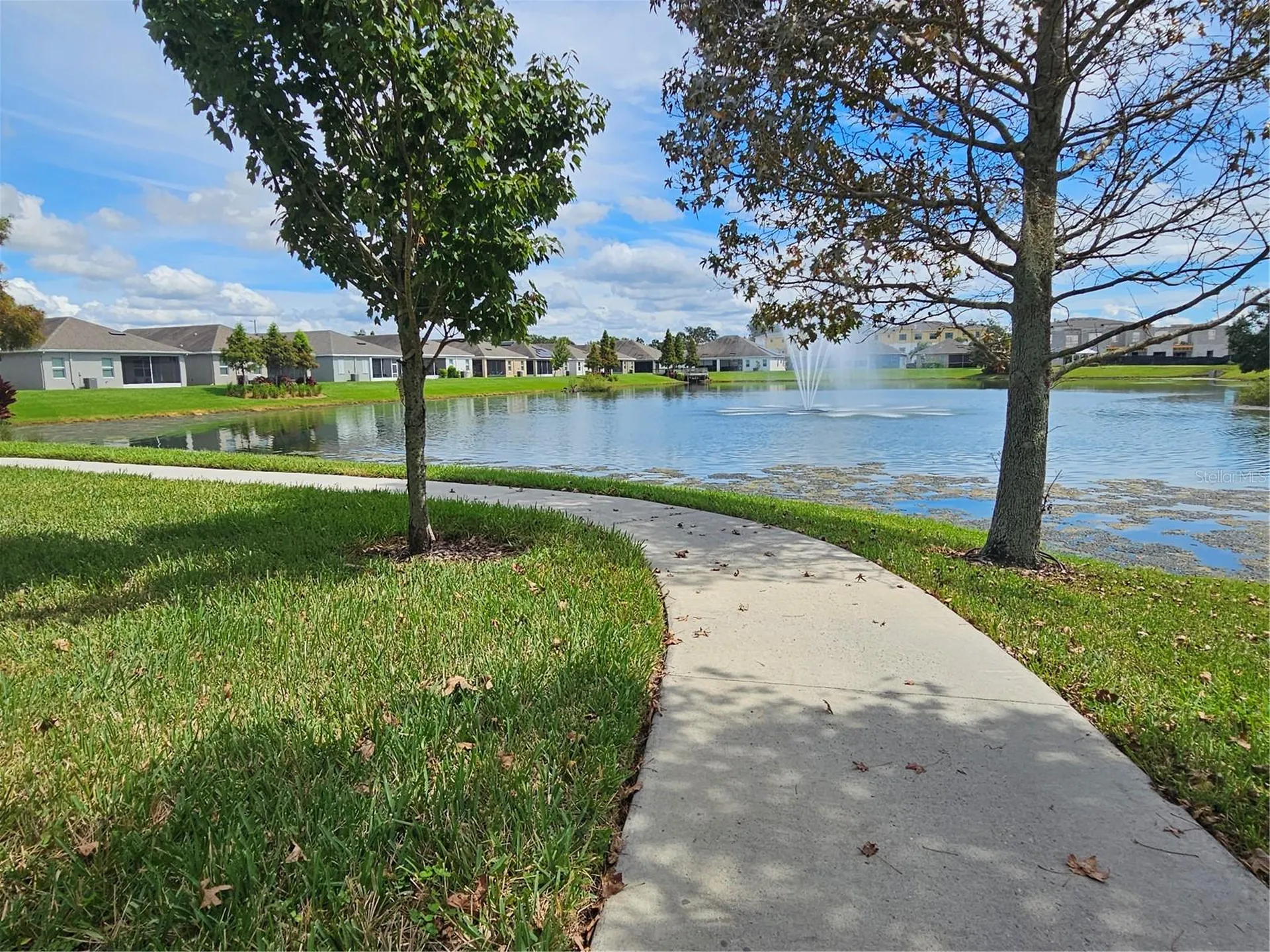11112 Swansea Street Riverview FL 33578