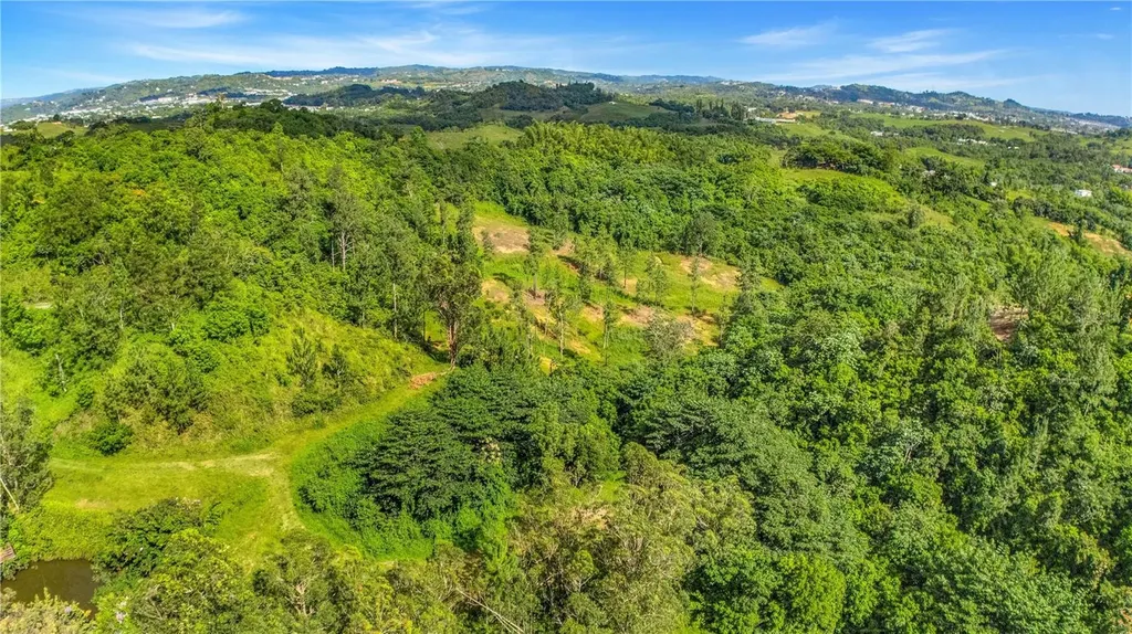 63 Sector Monticello Cidra PR 00739