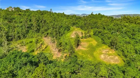 63 Sector Monticello Cidra PR 00739