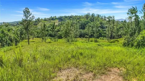 63 Sector Monticello Cidra PR 00739
