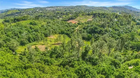 63 Sector Monticello Cidra PR 00739