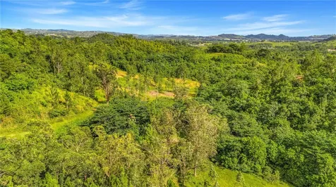 63 Sector Monticello Cidra PR 00739
