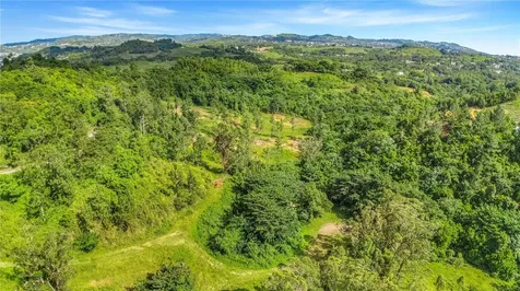 63 Sector Monticello Cidra PR 00739