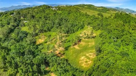 63 Sector Monticello Cidra PR 00739
