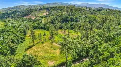 63 Sector Monticello Cidra PR 00739