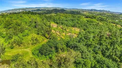 63 Sector Monticello Cidra PR 00739
