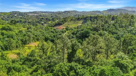 63 Sector Monticello Cidra PR 00739