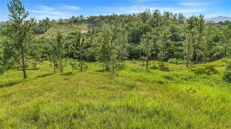 63 Sector Monticello Cidra PR 00739