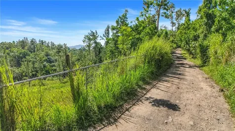 63 Sector Monticello Cidra PR 00739