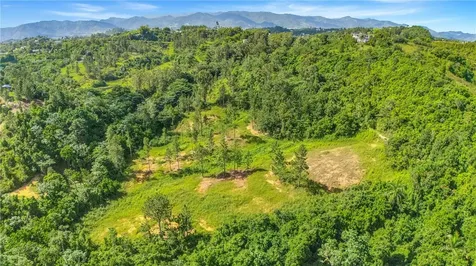 63 Sector Monticello Cidra PR 00739