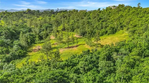 63 Sector Monticello Cidra PR 00739