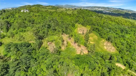 63 Sector Monticello Cidra PR 00739