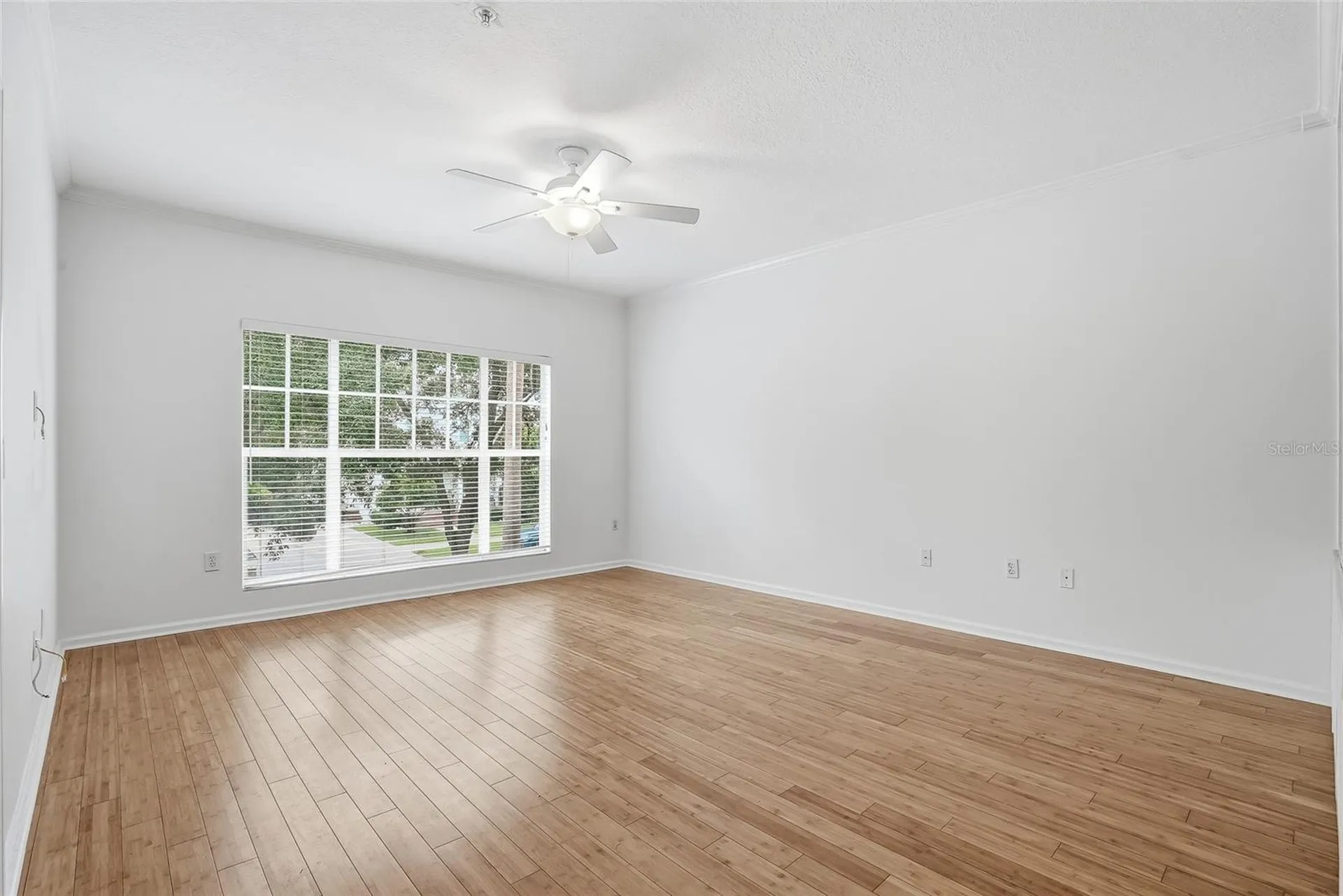 809 S Oregon Avenue Tampa FL 33606