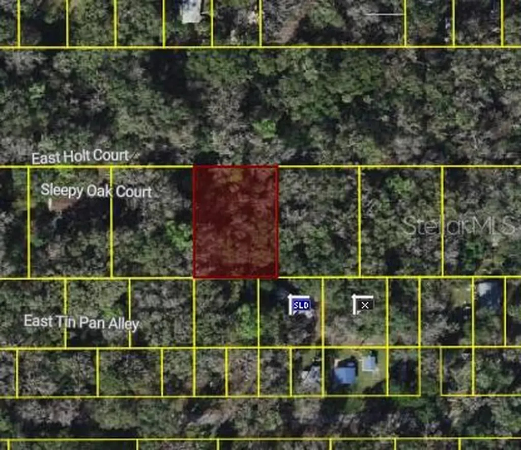 9346 E Sleepy Oak Court Inverness FL 34453