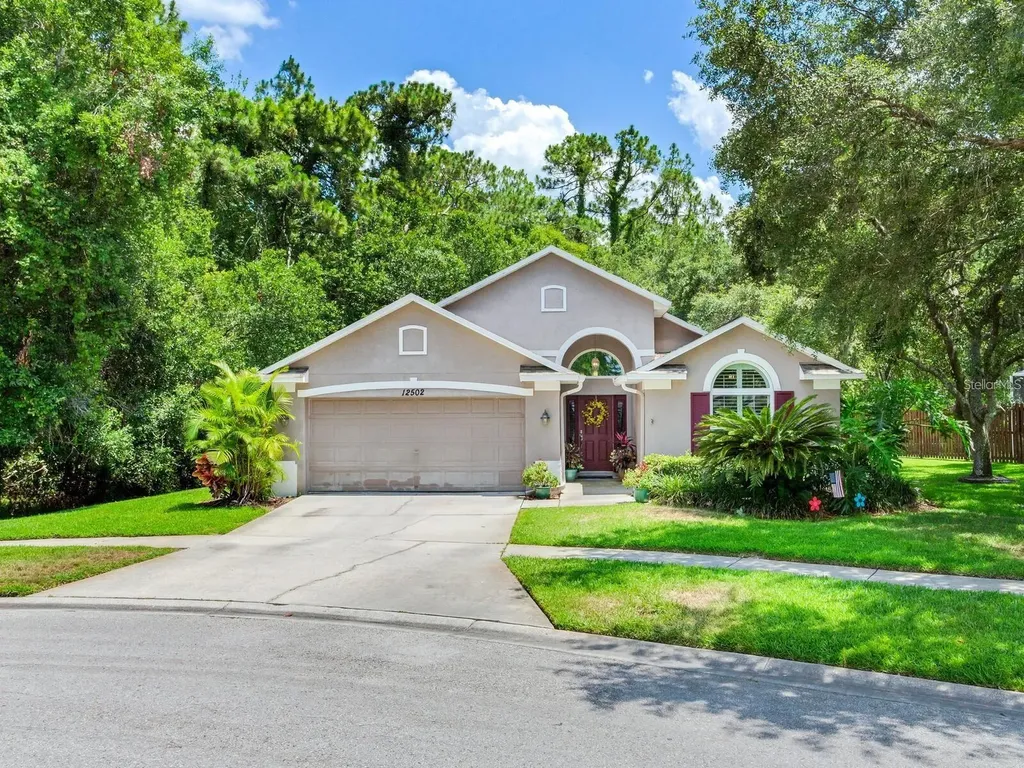 12502 Blazing Star Drive Tampa FL 33626