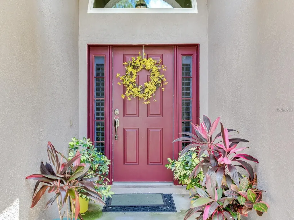 12502 Blazing Star Drive Tampa FL 33626