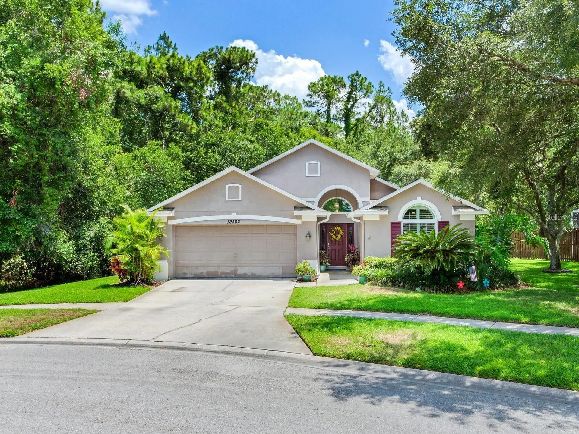 12502 Blazing Star Drive Tampa FL 33626