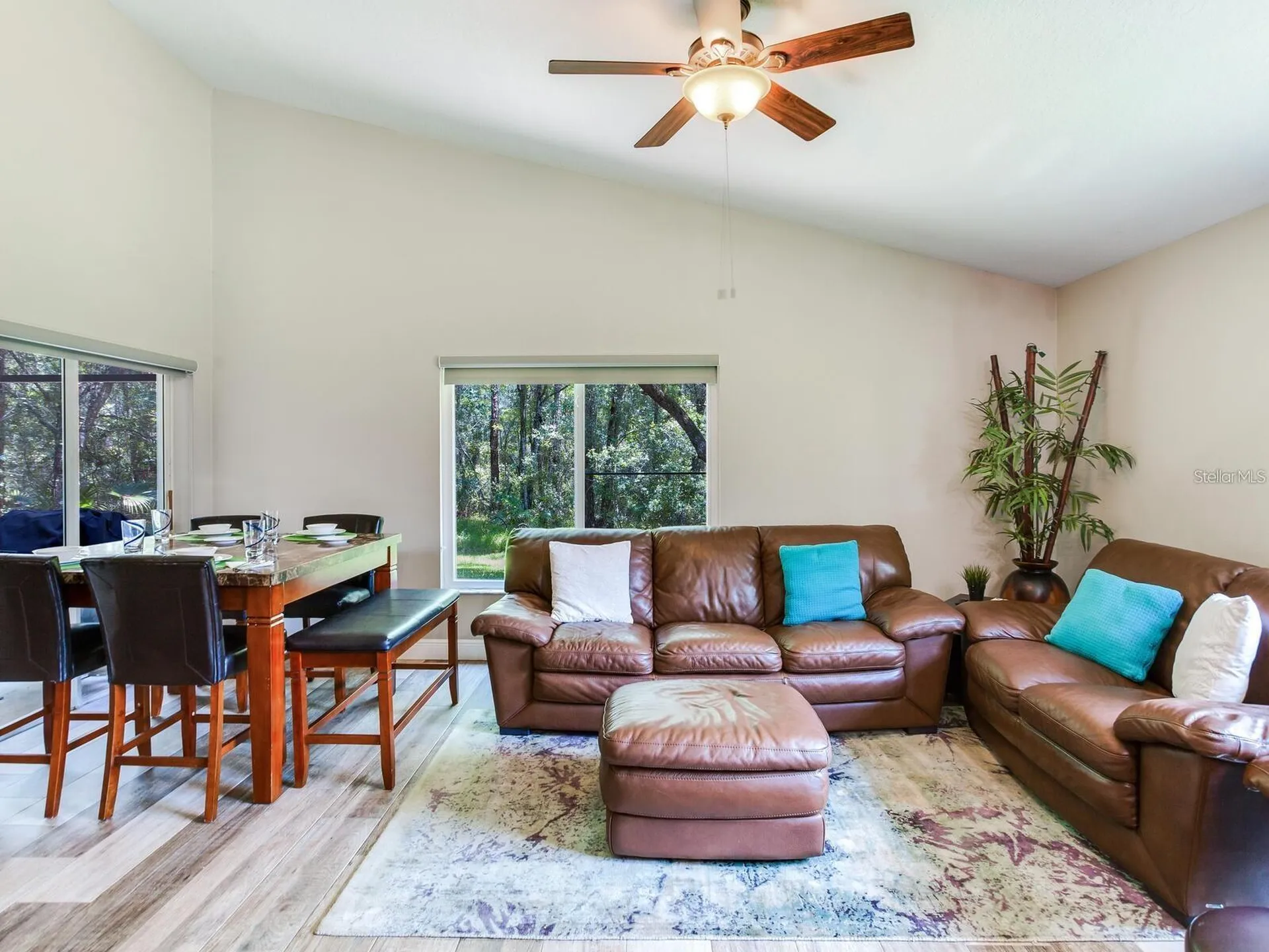 12502 Blazing Star Drive Tampa FL 33626
